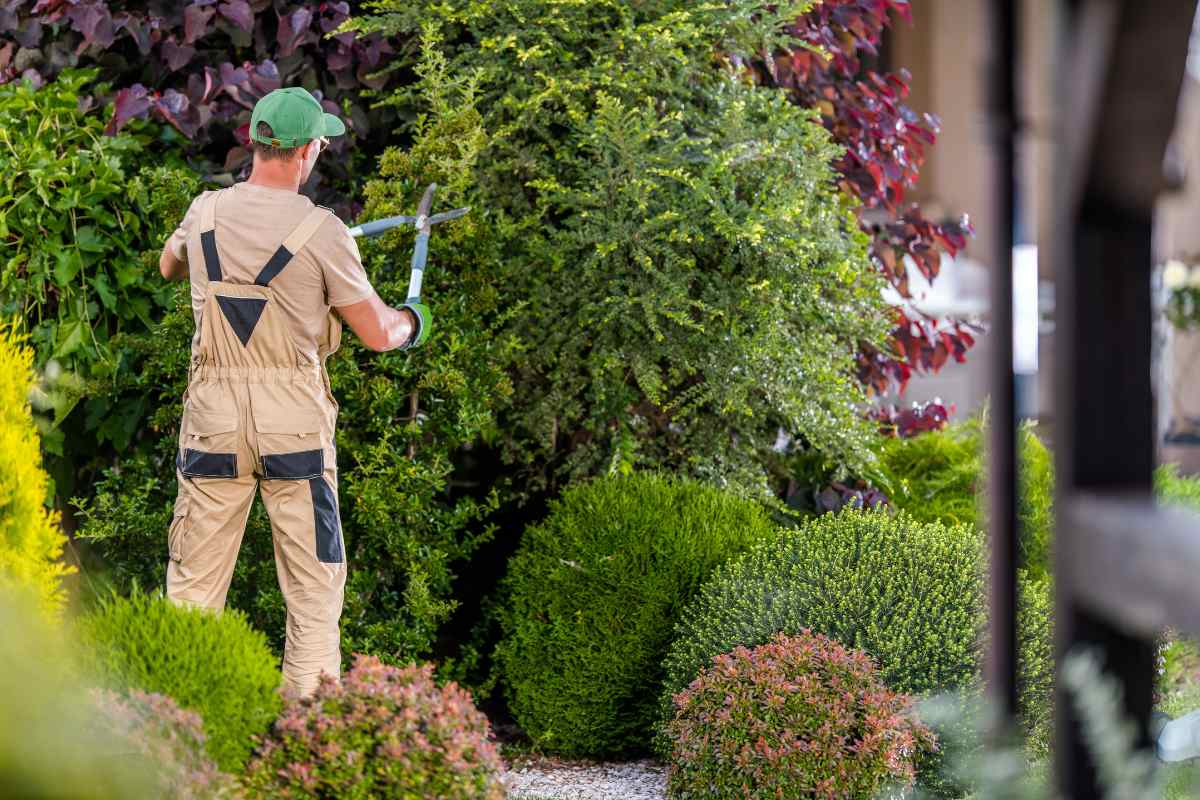 Como está o mercado de jardinagem?