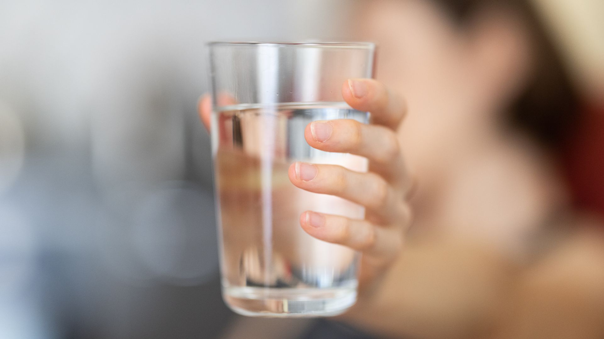 Filtro ou Purificador de Água: Qual é a Diferença e Qual Vale Mais a Pena?